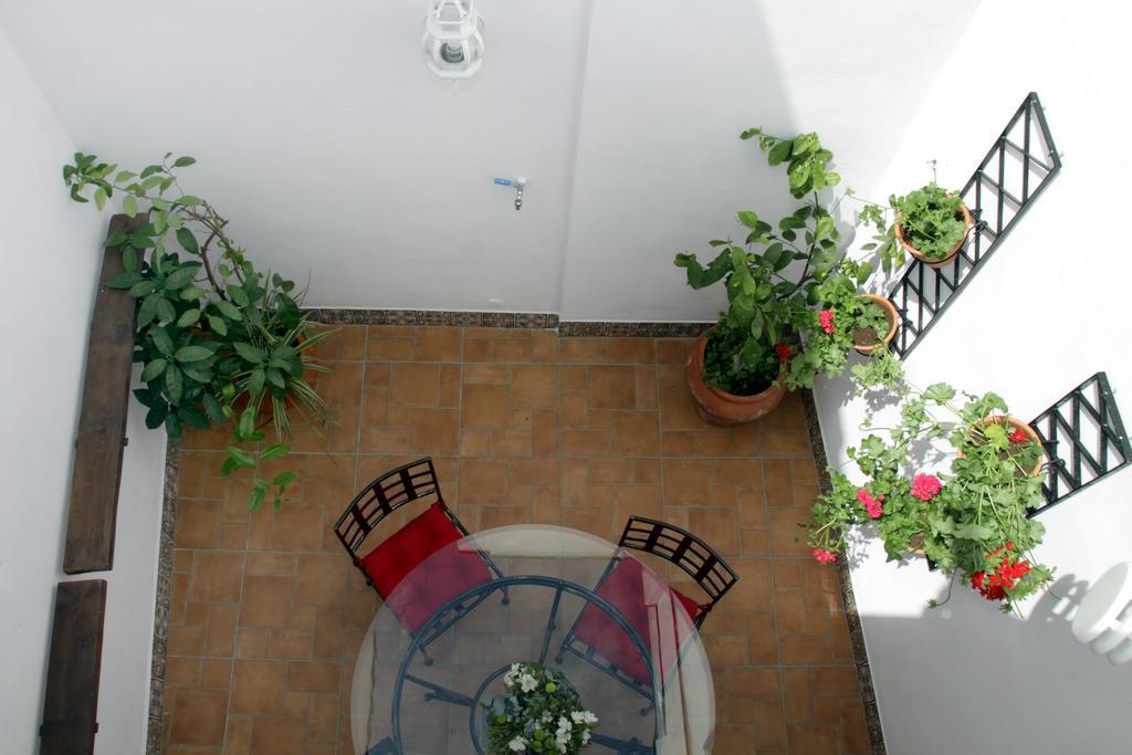 Apartamentos San Fernando 76 Кордова Экстерьер фото